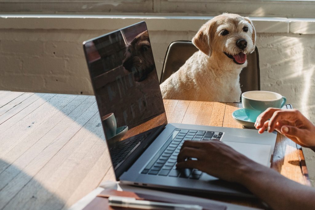 small business owner working with his dog on the side