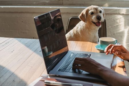 small business owner working with his dog on the side